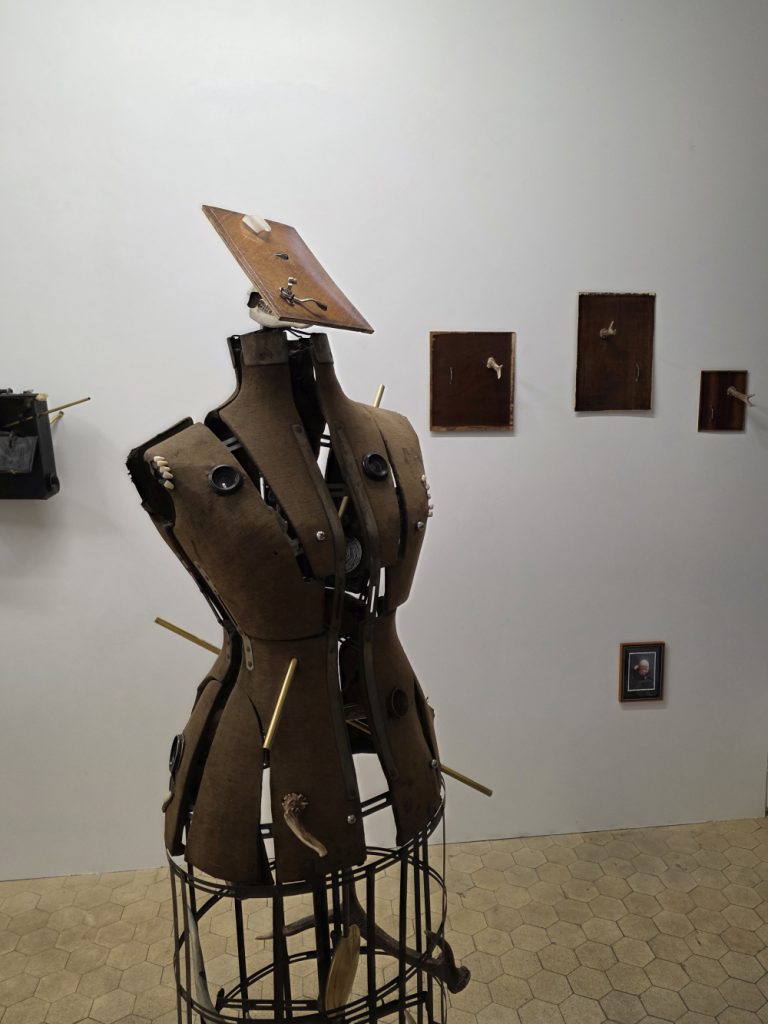 #240 Scharteke, exhibition detail #240 Scharteke, exhibition detail