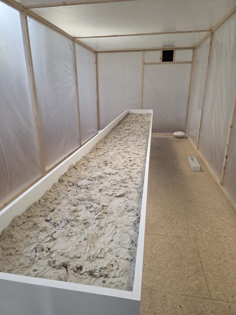 ein treibhausartiger raum von gala porras-kim.