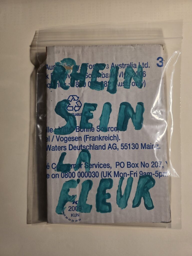 Rheinsein by Stan Lafleur (PapperLaPapp Kartonbuchverlag, 2010) was rediscovered and placed in a protective cover.