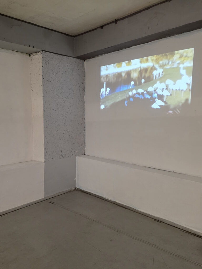 archival healing (hab) in der kunsttankstelle ottakring archival healing (hab) in der kunsttankstelle ottakring