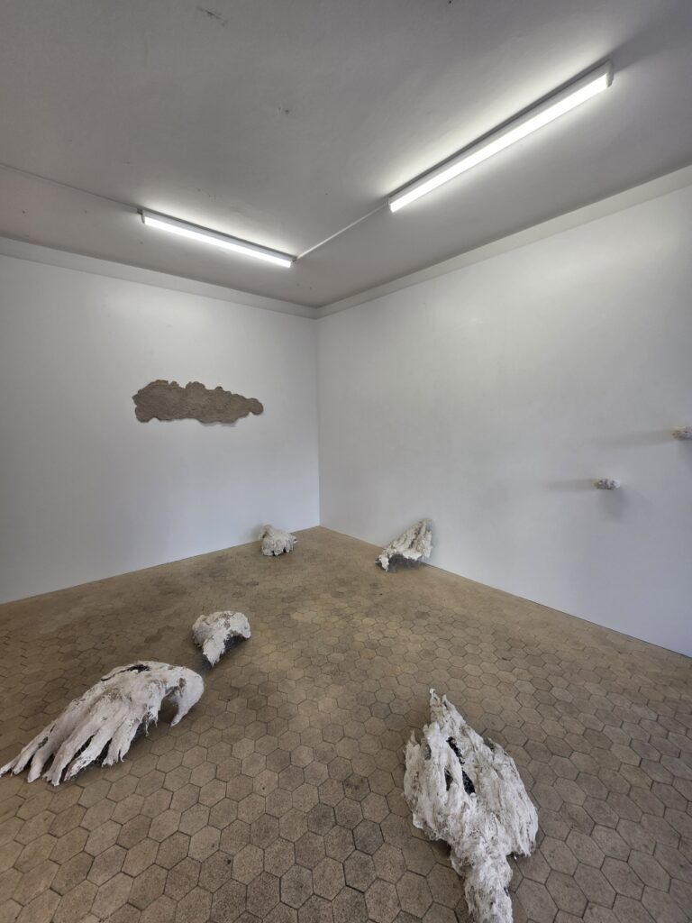 Corpi erranti. By Muzi. Ausstellungsdetail
